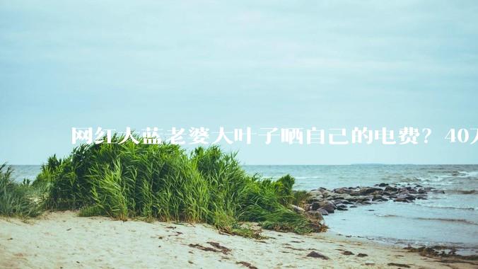 网红大蓝老婆大叶子晒自己的电费？40万每年，到底是什么概念？