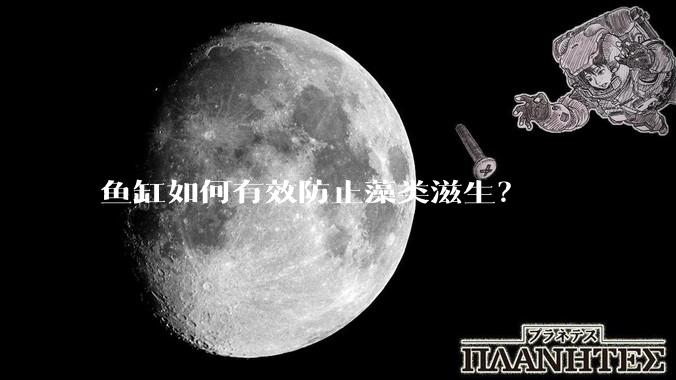 鱼缸如何有效防止藻类滋生？
