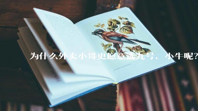 为什么外卖小哥更愿意选九号、小牛呢？