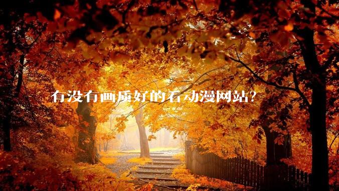 有没有画质好的看动漫网站？
