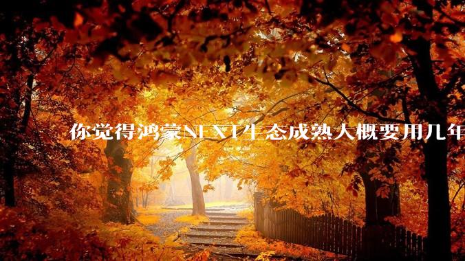你觉得鸿蒙NEXT生态成熟大概要用几年?
