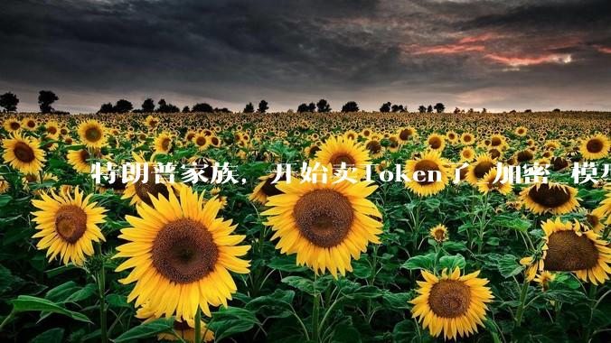 特朗普家族，开始卖Token了_加密_模型_货币