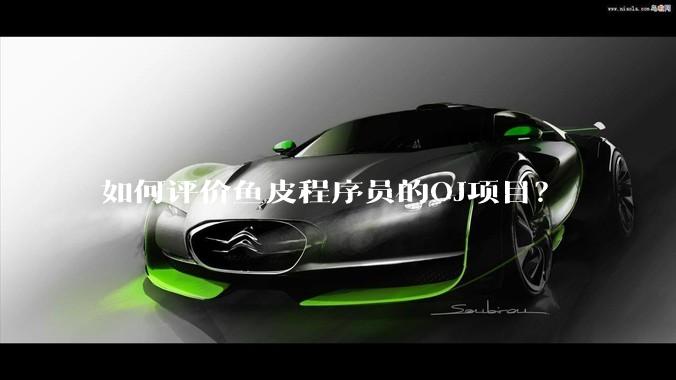 如何评价鱼皮程序员的OJ项目？