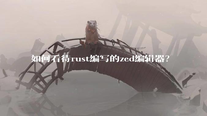 如何看待rust编写的zed编辑器？
