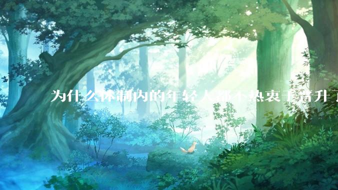 为什么体制内的年轻人都不热衷于晋升了？