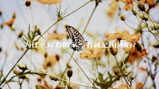 为什么好看的家一看就是国外的？