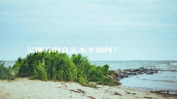 吴柳芳的真实水平如何？